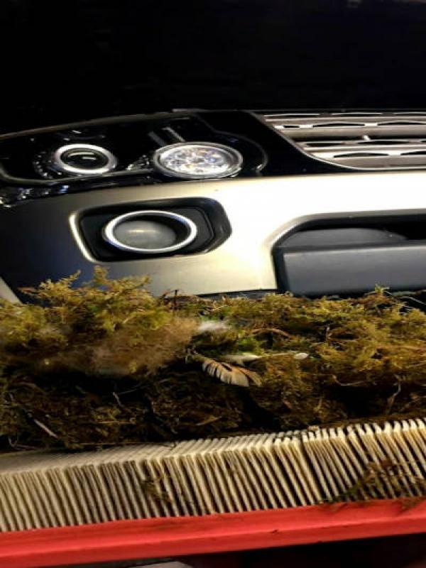 Land Rover Discovery 4 Full Service